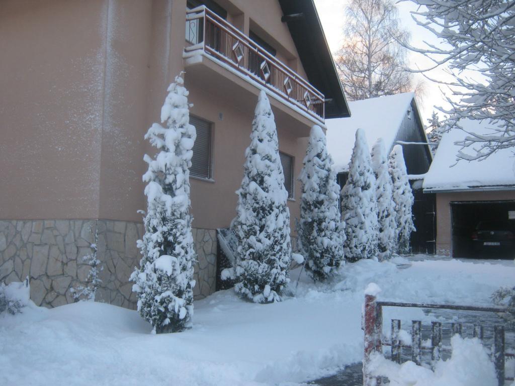 Hotel House Pribic à Vrelo Koreničko Extérieur photo
